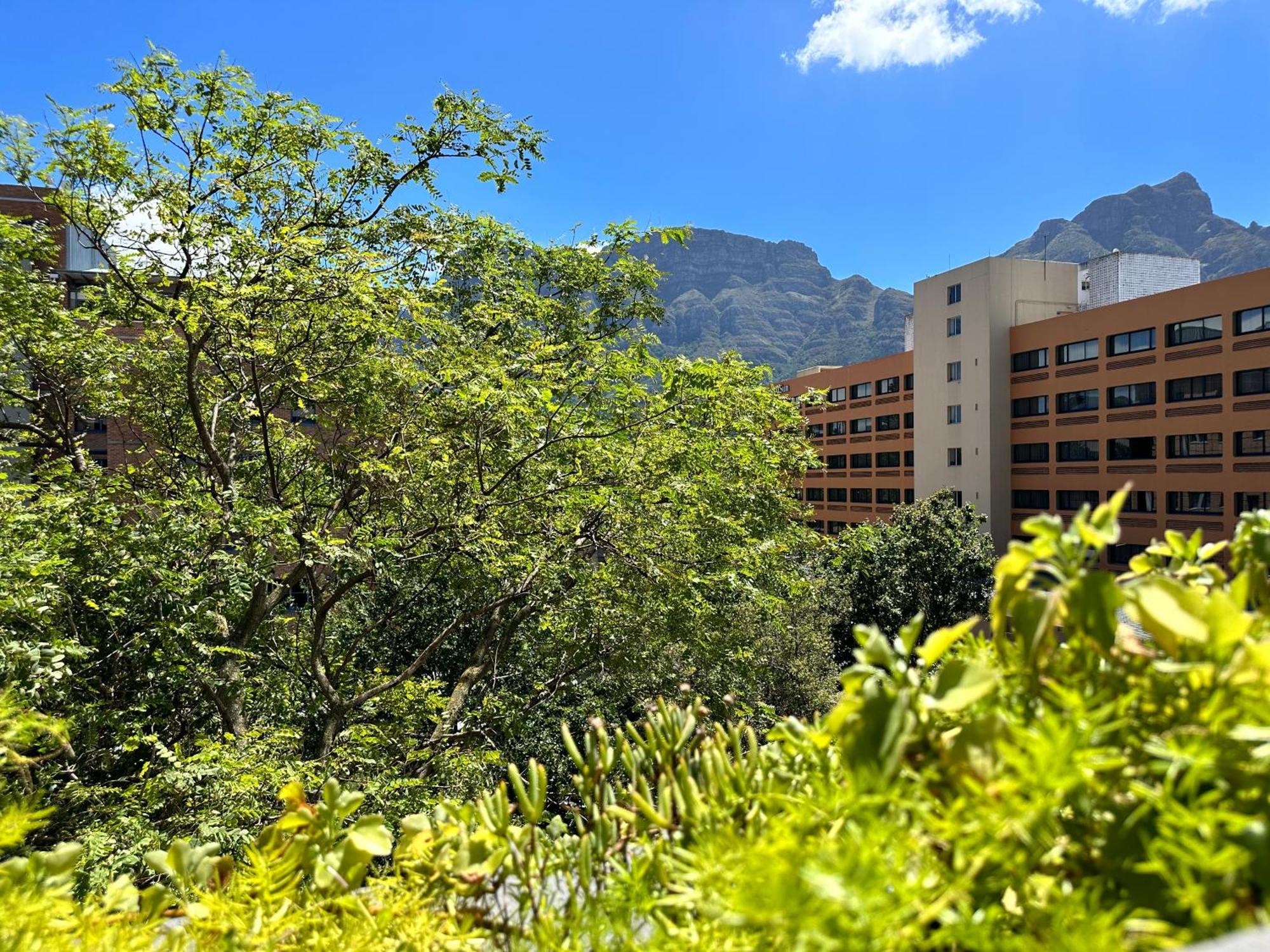 Newlands Peak Apartments เคปทาวน์ ภายนอก รูปภาพ